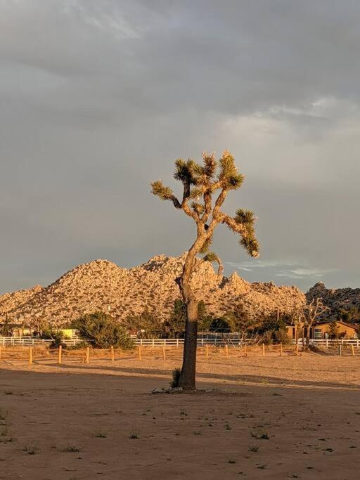 Chasing The Moon: Expansive Tub Views Near Pappy'S Villa Pioneertown Exterior foto